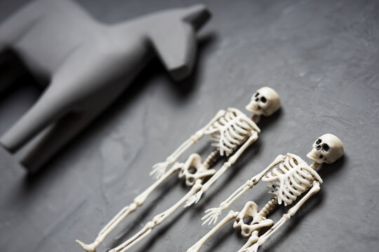 two human skeletons selective focus on a gray surface and a horse model