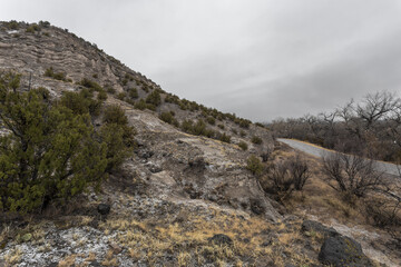 Side of a mountain with patches of snow and bushes with overcast sky