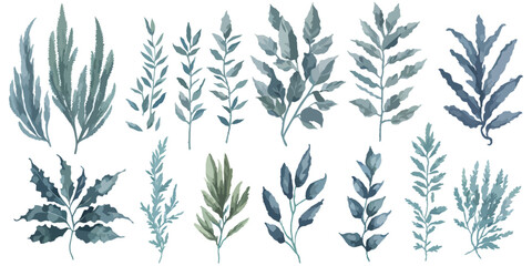 Wild and Wonderful. A Vector Set of Decorative Leaf Elements on a White Background