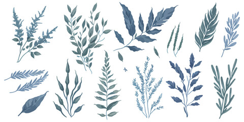 Vector Variety. A Beautiful Set of Flat Herbs on a White Background