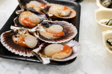 Macro detail of fresh Zamburiña (Chlamys varia), in a market.