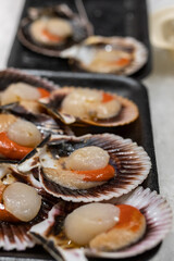 Fresh scallop (Chlamys varia), ready to eat in a market.