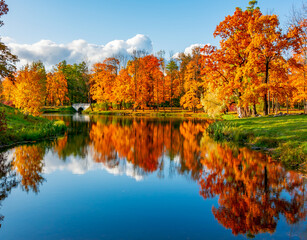 Scenic autumn landscape reflected in water in Alexander park, Pushkin (Tsarskoe Selo), Saint...