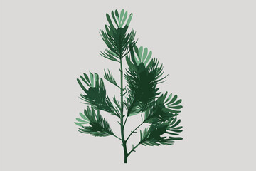 Green branch of coniferous tree illustration. flat style
