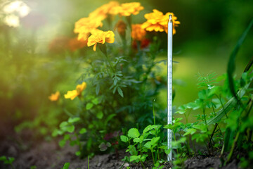 A thermometer for measuring the temperature of the soil is stuck in a flowerbed with flowers. Increase in ambient temperature.Maintaining the temperature of the earth.