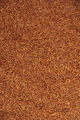 red rice, background, texture. Top view