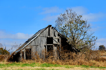 Autumn Bareness Decorates Arkansas Barn