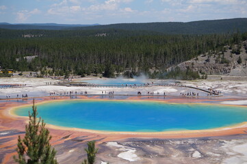 Morning color for grand prismatic spring in Yellowstone National Park 