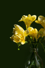 bright flowers on a bright green juicy background. bright summer composition with flowers postcard, baner. yellow orchid flower