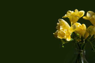 beautiful flower on a green background with a beautiful shadow. floral background for milking decoration.