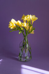 beautiful flower on a lilac background with a beautiful shadow. floral background for milking decoration.