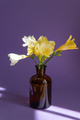 bouquet of tulips in vase