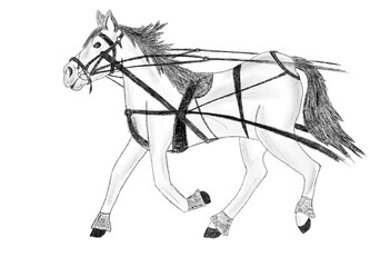 Pencil sketch of a horse, black and white raster picture