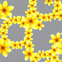Seamless pattern with flowers. Watercolor abstract bright summer yellow flowers. Isolated objects on grey background