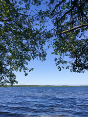 Beautiful lake with blue water. Tree branches in the foreground.