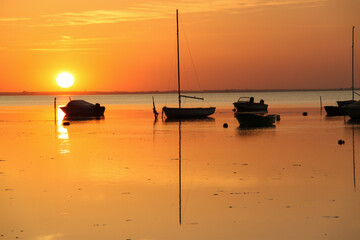 Silhouette of a some motor vessels and sailing boats on calm baltic sea during golden sunset. Boats...