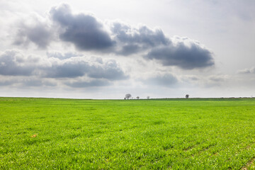 Spring countryside landscape with dramatic sky