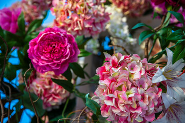 pink and white flowers