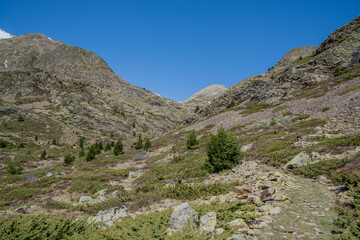 Fototapeta na wymiar Pyrenees mountains landscape in spring