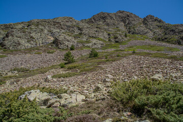 Pyrenees mountains landscape in spring