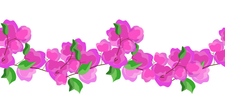 Seamless border of pink bougainvillea flowers on white background. Floral vector illustration.