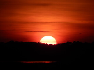 Red sun over the river and trees
