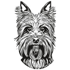 Yorkshire Terrier dog hand drawn vector logo drawing black and white line art pets illustration
