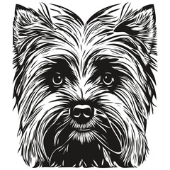 Yorkshire Terrier dog logo hand drawn line art vector drawing black and white pets illustration