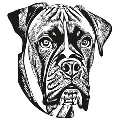 Boxer dog line art hand drawing vector logo black and white pets illustration