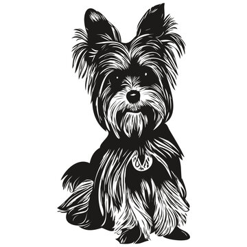 recommend clip art: Yorkshire Terrier dog line art hand drawing vector logo black and white pets illustration
