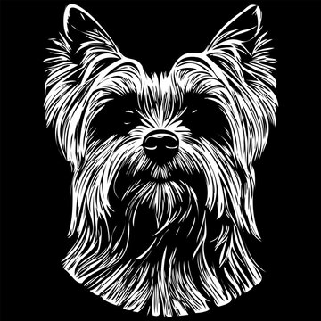 recommend clip art: Yorkshire Terrier dog vector illustration, hand drawn line art pets logo black and white