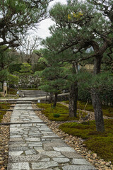 日本　京都府京都市にある圓光寺の参道