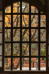 日本　京都府京都市にある圓光寺の瑞雲閣の窓から見える十牛之庭の紅葉