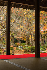 日本　京都府京都市にある圓光寺の本堂から見える十牛之庭の紅葉