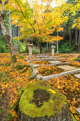 日本　京都府京都市の圓光寺にある東照宮の紅葉と徳川家康の墓