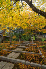 Fototapeta premium 日本 京都府京都市の圓光寺にある東照宮の紅葉と徳川家康の墓