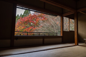 日本　京都府京都市にある瑠璃光院の書院から見える紅葉