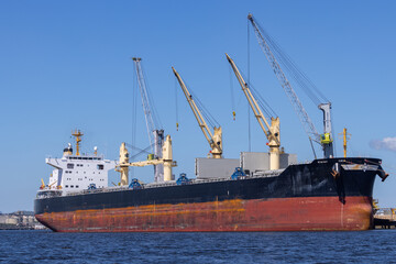Ships in operation at the Port of Paranagu&aacute;.