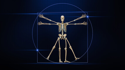 Human male skeleton 3D rendering illustration on blue background. Skeletal or bone system anatomy, medical, healthcare, biology, science, medicine, osteology, biomechanics concepts.