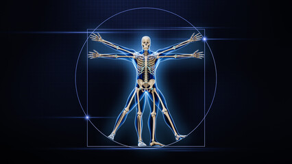 Human male body and bones xray 3D rendering illustration with copy space on blue background. Skeleton or skeletal anatomy, medical, healthcare, science, biology, osteology concepts.
