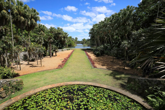 Beautiful views of Fairchild Tropical Botanic Garden in Coral Gables, Florida, USA.  Fairchild is a world premier public tropical garden with the largest collection of palm and cycads in 83 acres.