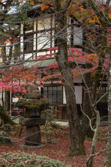 日本　京都府京都市にある永観堂禅林寺の図書館と紅葉
