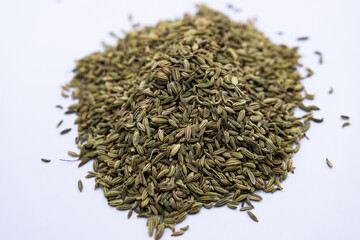 Fennel Seeds bulk