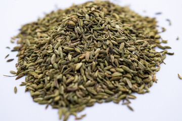 Fennel Seeds bulk