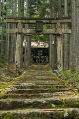 日本　京都府京都市右京区の森の中にある賀茂神社の鳥居と社殿に続く苔むした石段