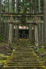 Fototapeta na wymiar 日本　京都府京都市右京区の森の中にある賀茂神社の鳥居と社殿に続く苔むした石段