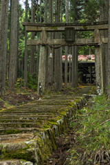 日本　京都府京都市右京区の森の中にある賀茂神社の鳥居と社殿に続く苔むした石段