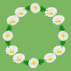 Wreath of white daisies with green leaves