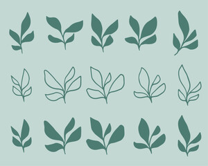 Set of leaves. Hand drawn decorative elements. Organic botanical leaves, plants, floral illustration vectors