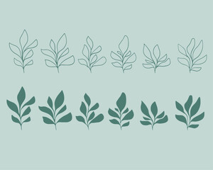 Set of leaves. Hand drawn decorative elements. Organic botanical leaves, plants, floral illustration vectors